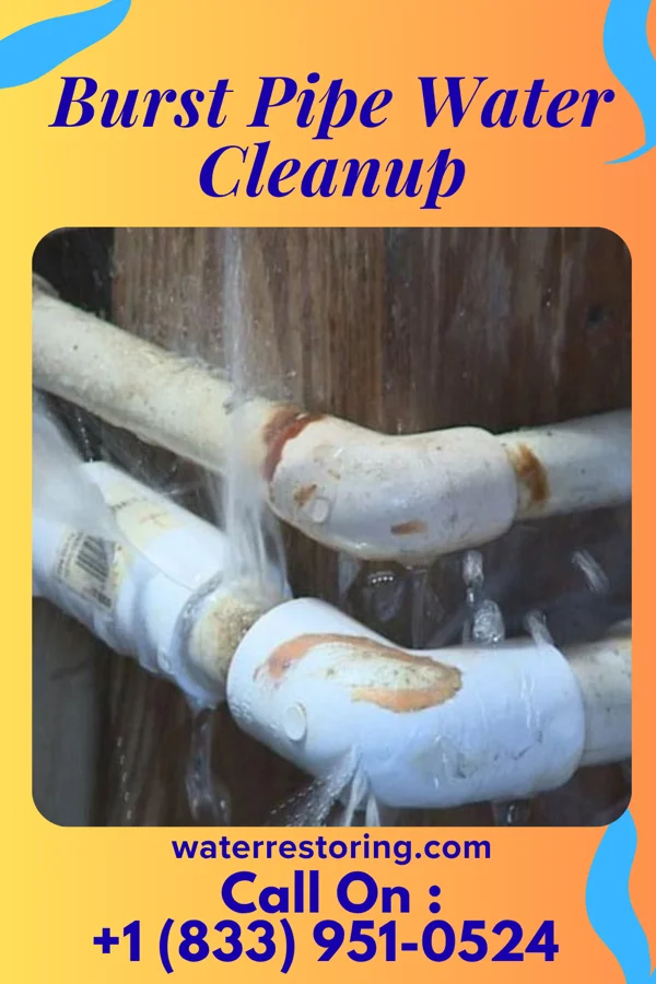 Burst Pipe Water Cleanup in Goulding, FL