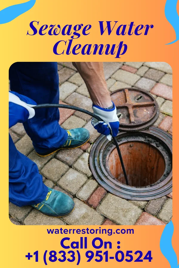 Sewage Water Cleanup in Goulding, FL